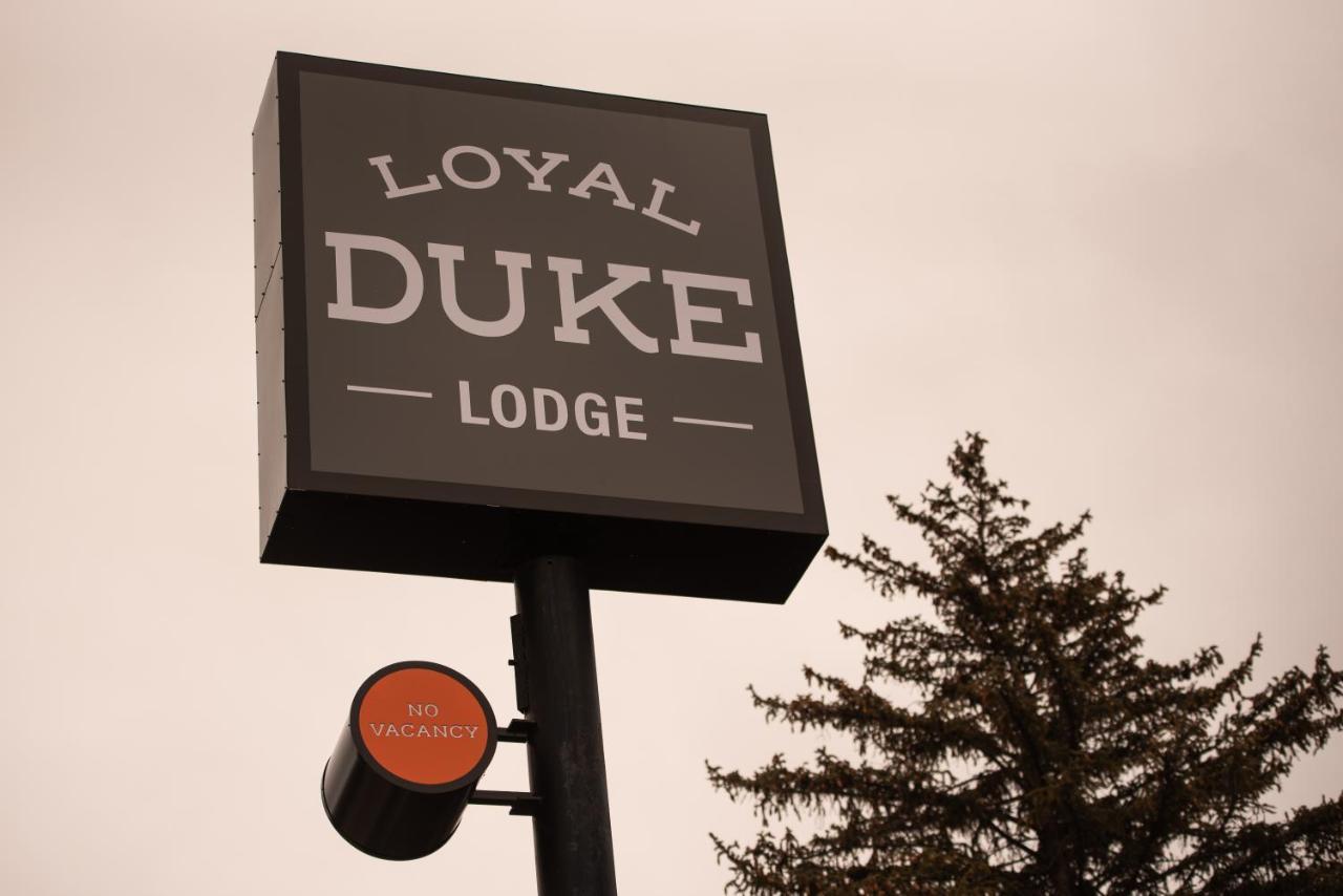 Loyal Duke Lodge Salida Exterior foto